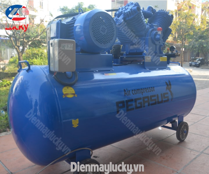 may-nen-khi-15-hp-pegasus